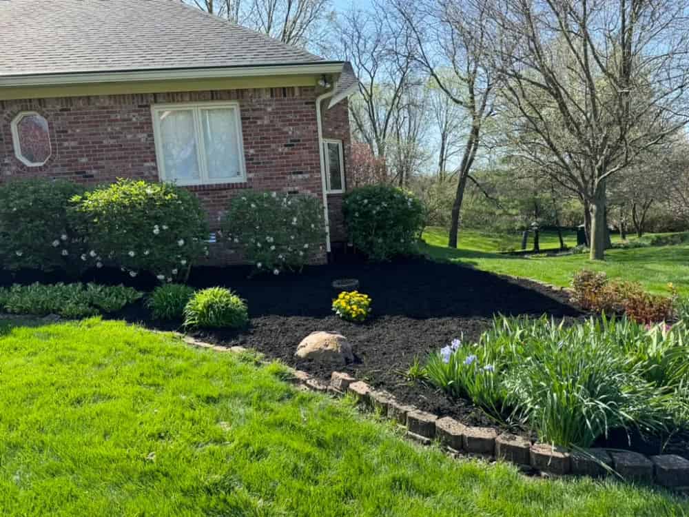 Lawncare Maintenance image