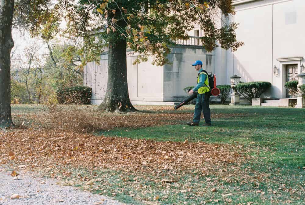 Season Cleanups image