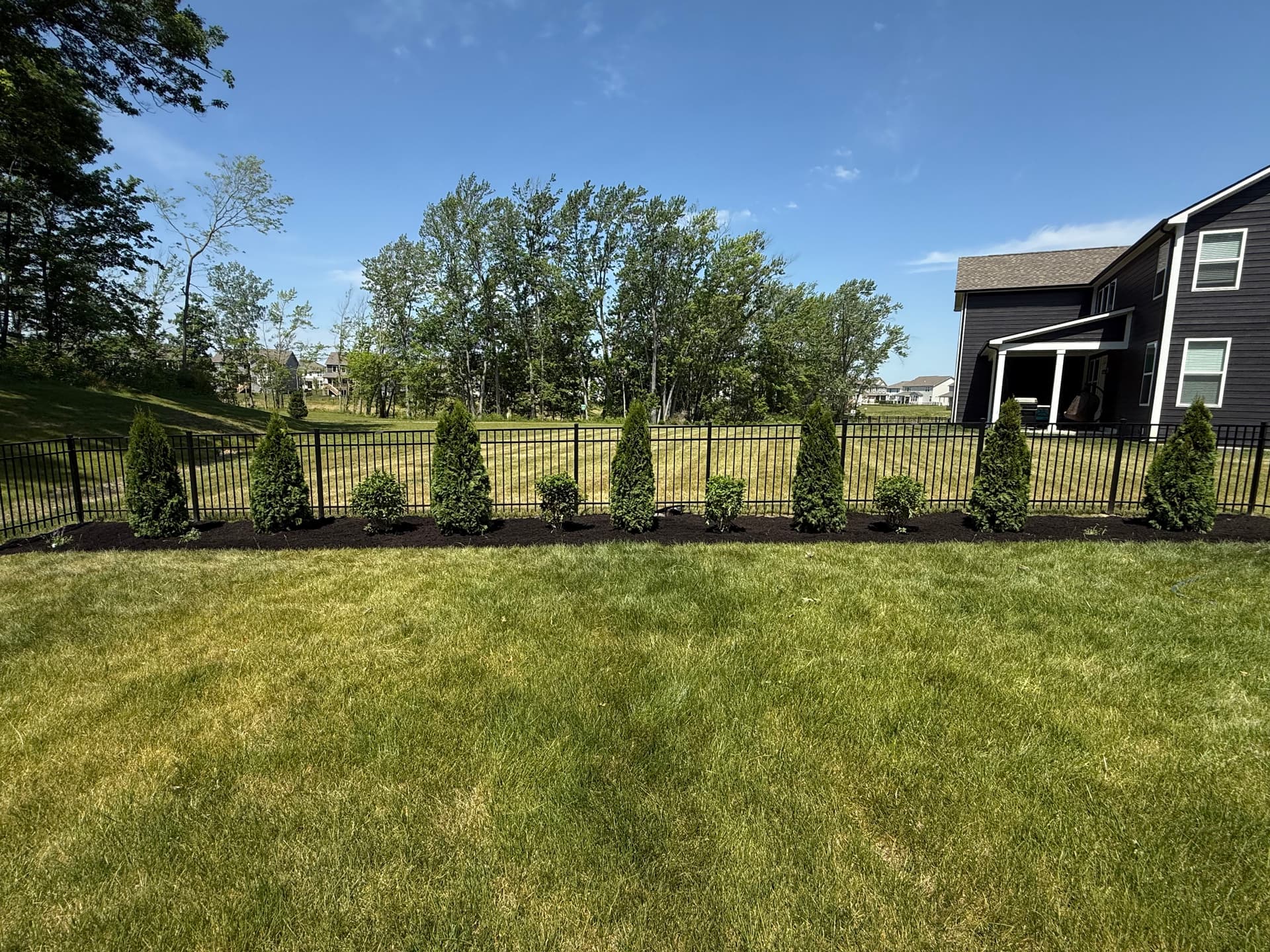 Gallery photos for Backyard Evergreen Privacy Screen Installation: Image #1