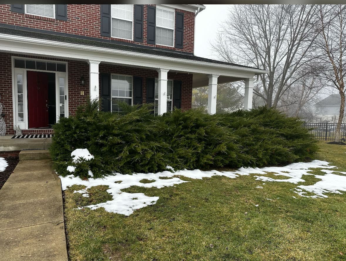 Spring Cleanup and Refresh for Your Lawn