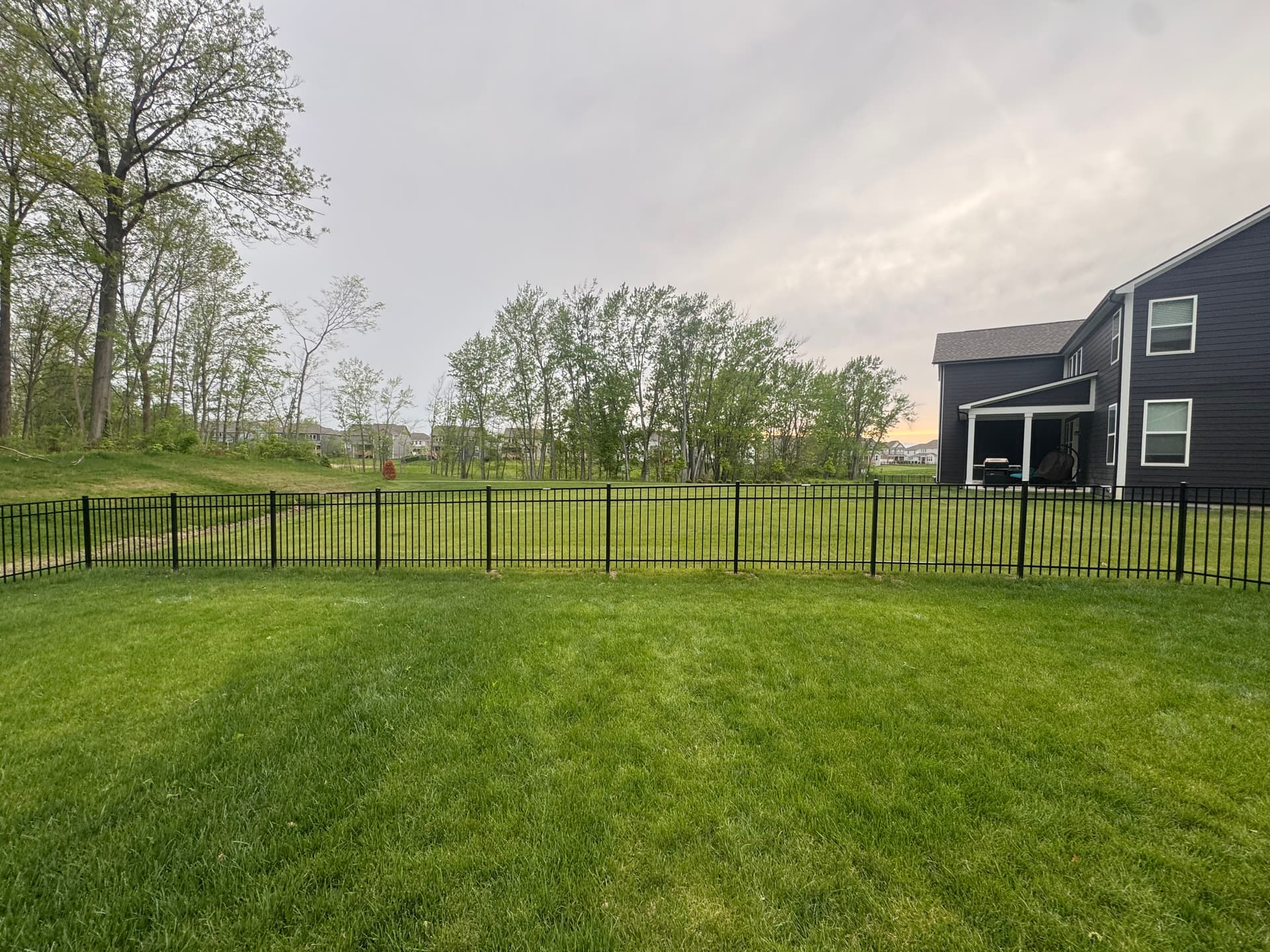 Backyard Evergreen Privacy Screen Installation image