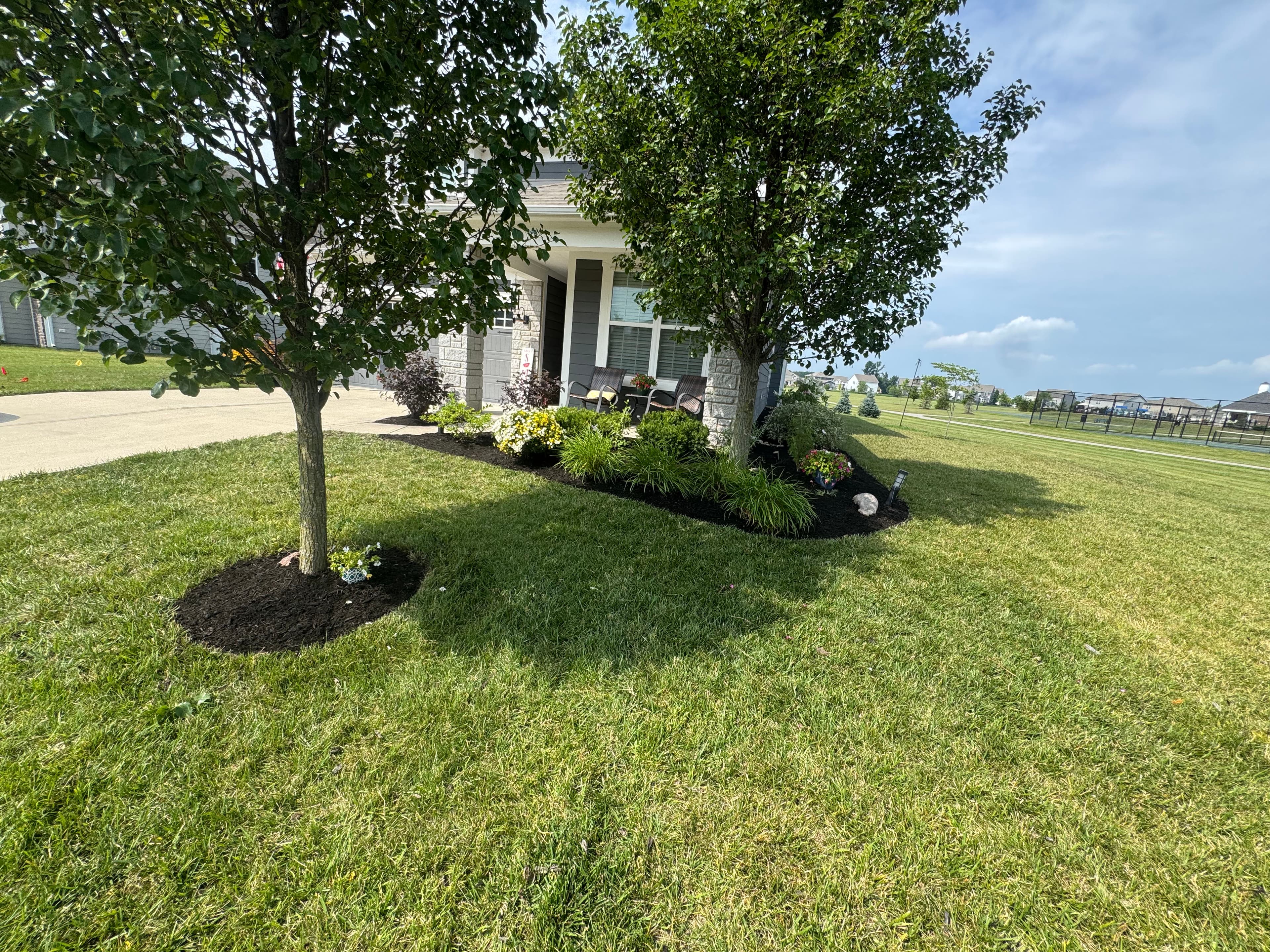 Project Fresh Mulch, New Plants, and a Clean Landscape Bed Refresh image