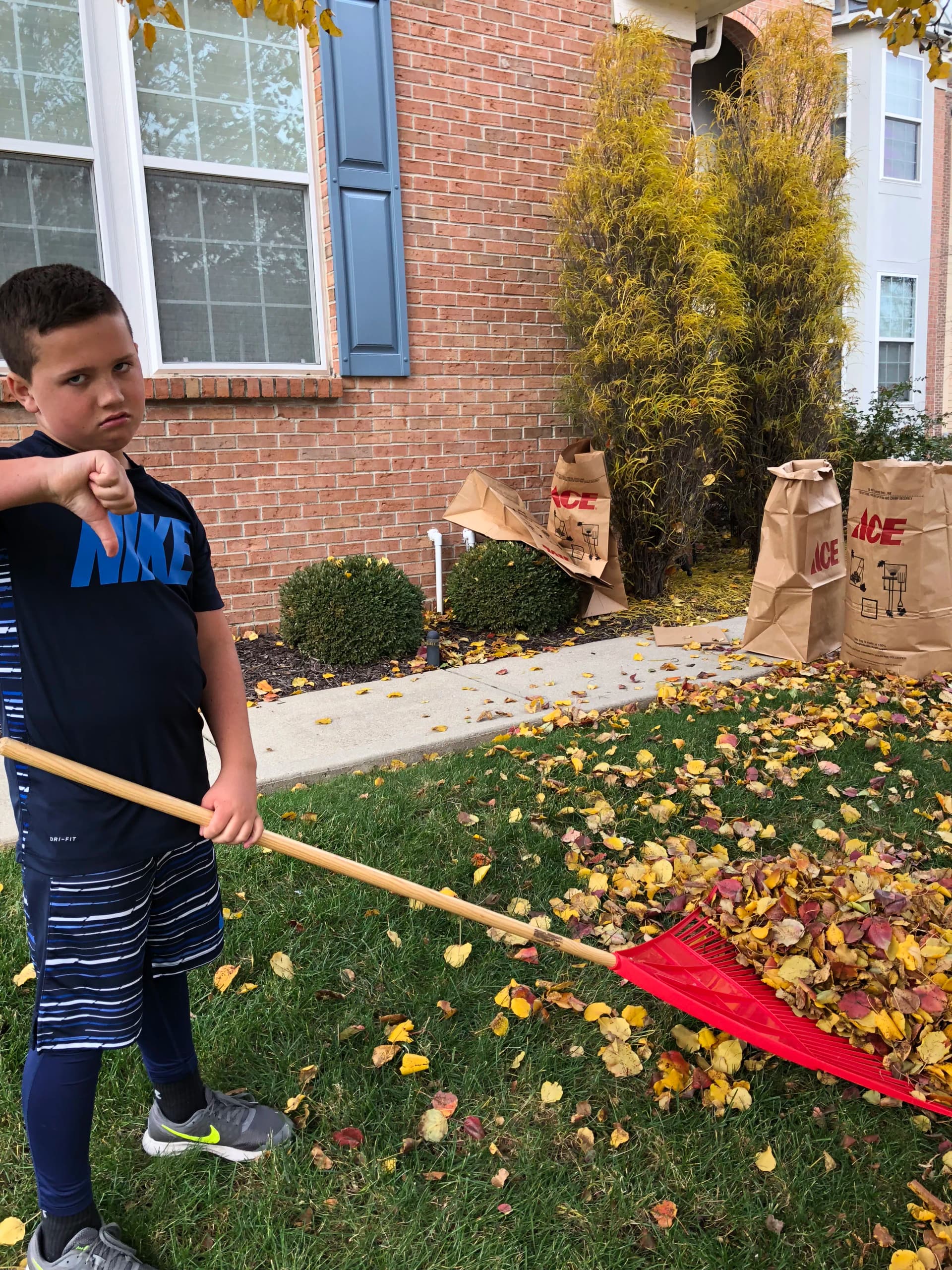 Nobody Wants to Spend Their Weekend Raking Leaves image