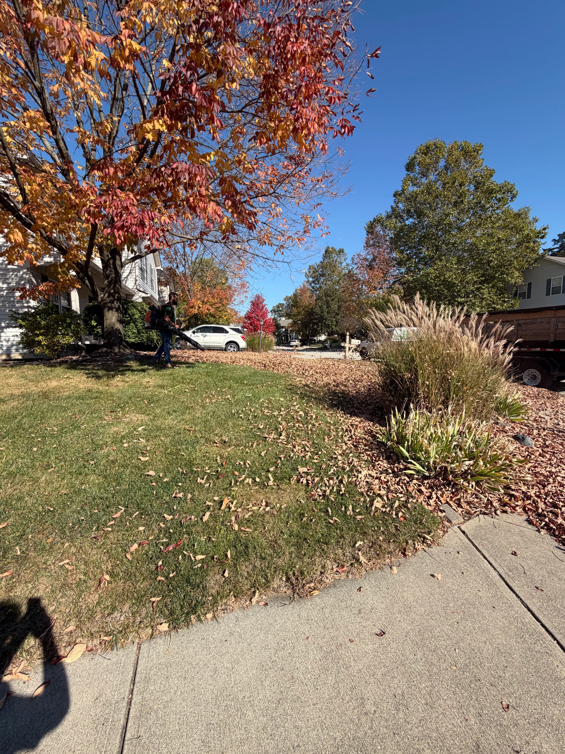 Gallery photos for Leaf Removal Done Right in Hamilton County: Image #1