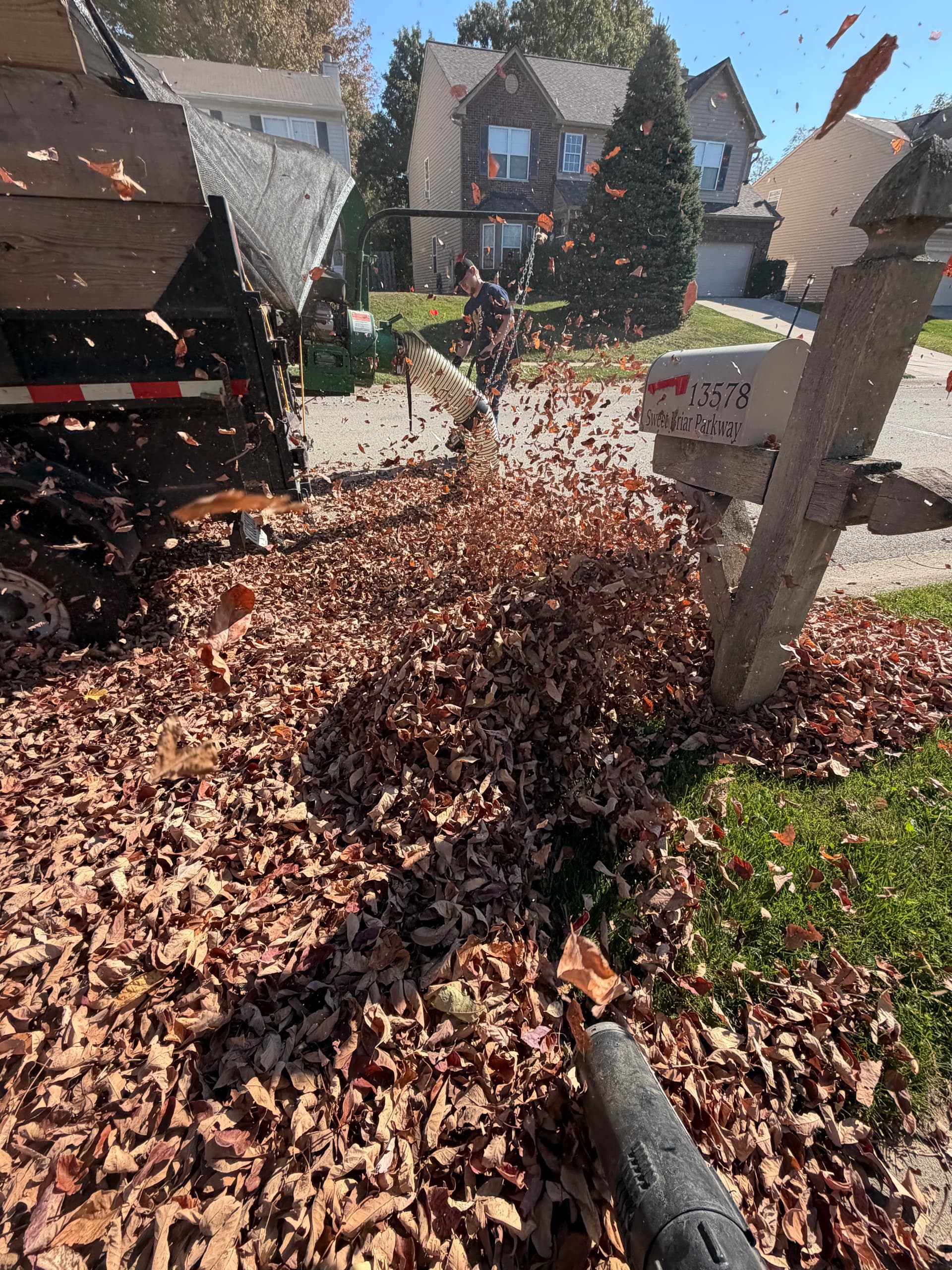 Gallery photos for Leaf Removal Done Right in Hamilton County: Image #2