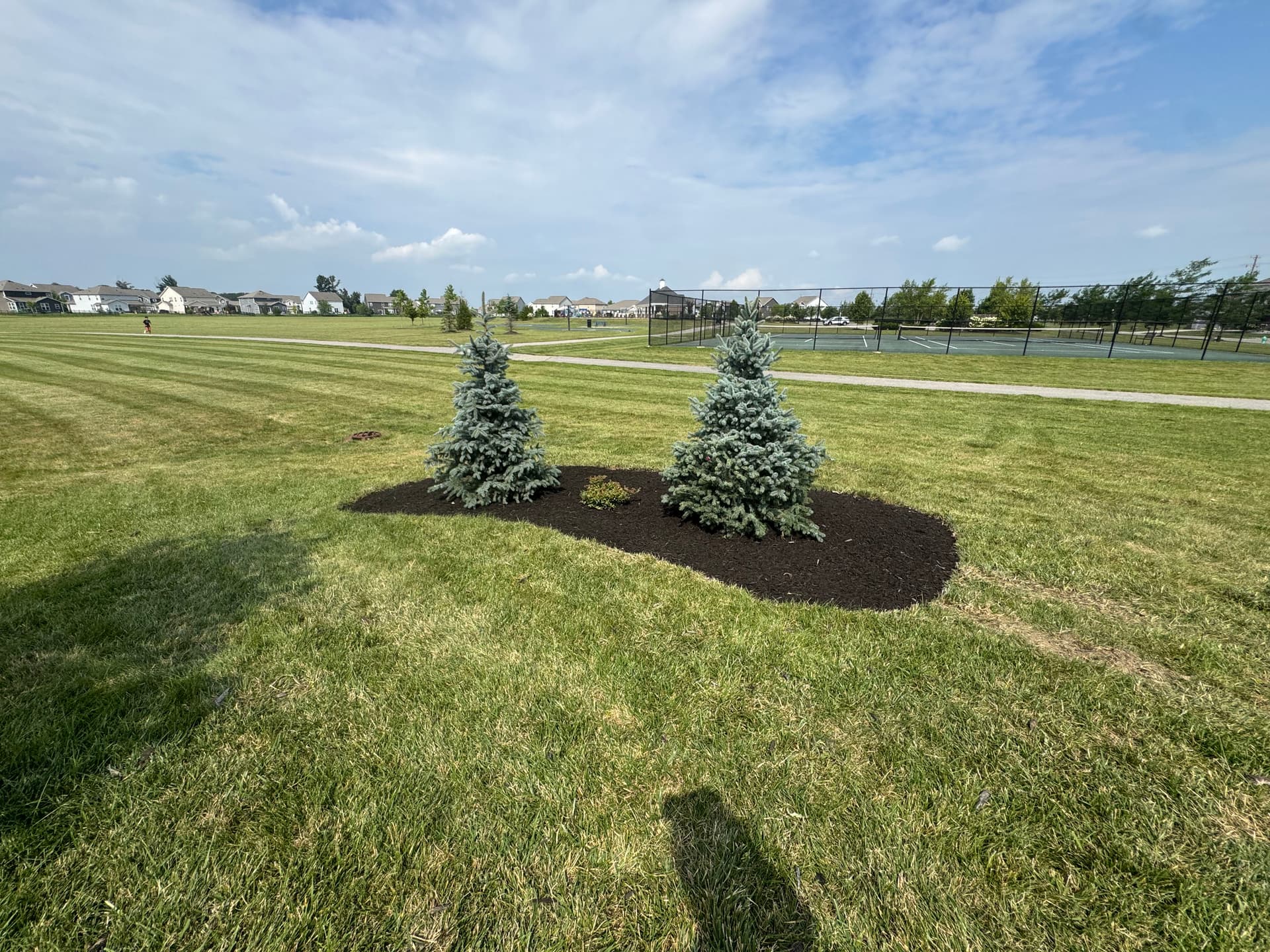 Gallery photos for Fresh Mulch, New Plants, and a Clean Landscape Bed Refresh: Image #2