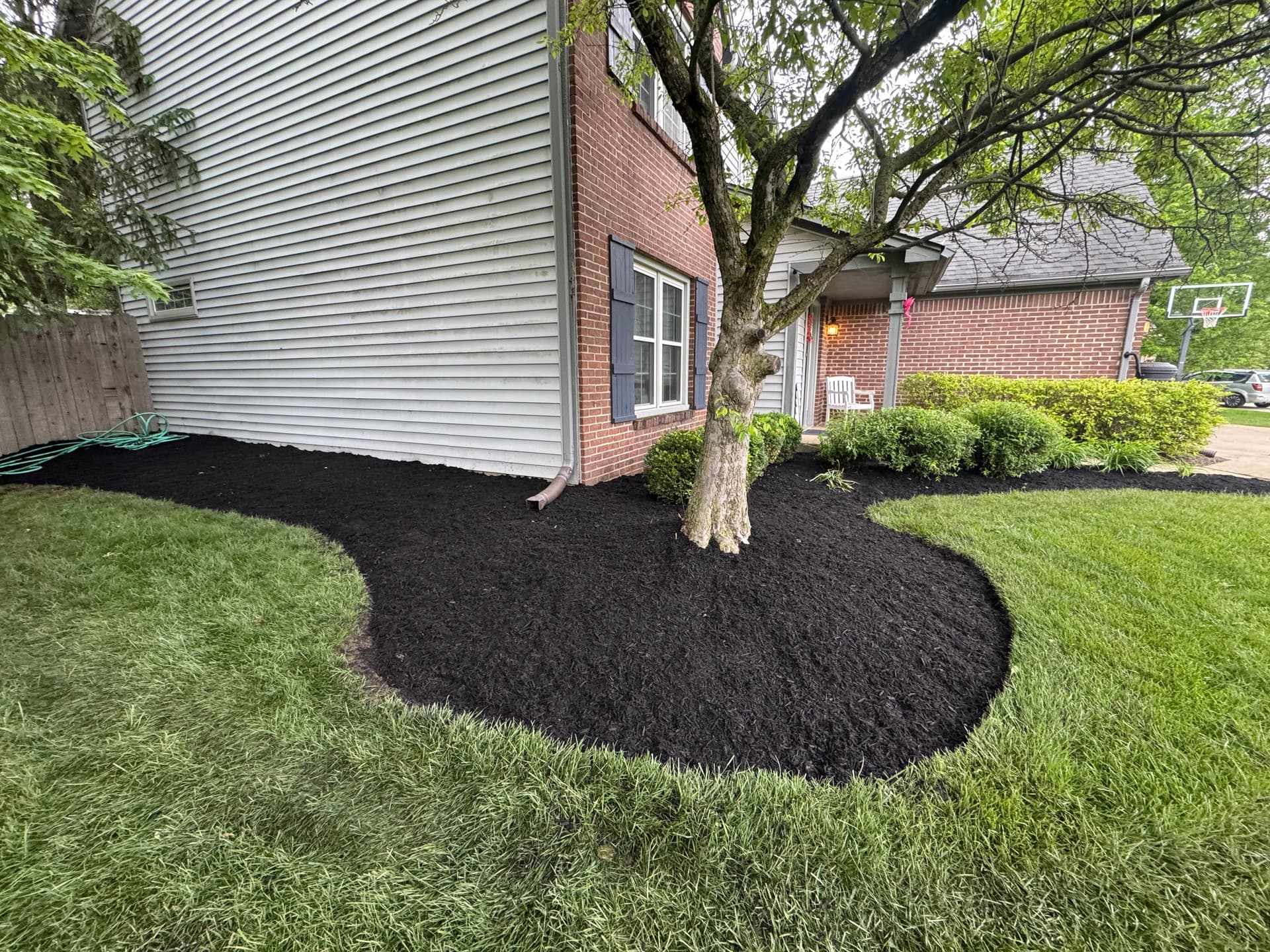 Gallery photos for 6 Yards of Black Mulch That Tied the Whole Yard Together: Image #2