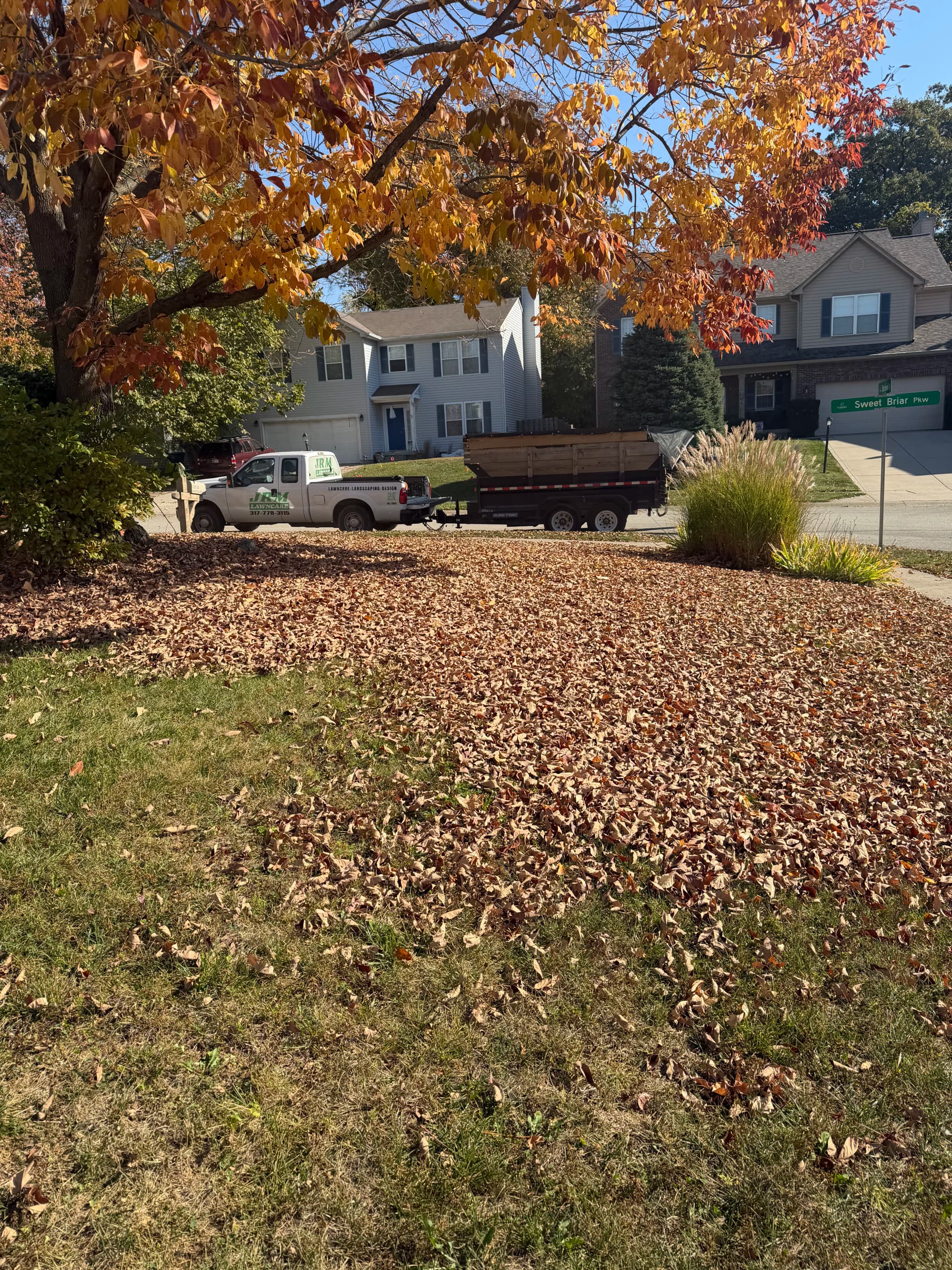 Leaf Removal Done Right in Hamilton County image