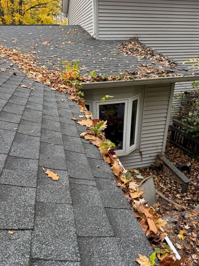 Gallery photos for Fall Cleanup and Gutter Maintenance Done Right: Image #1