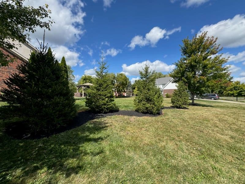Transform Your Yard into a Cozy Haven image