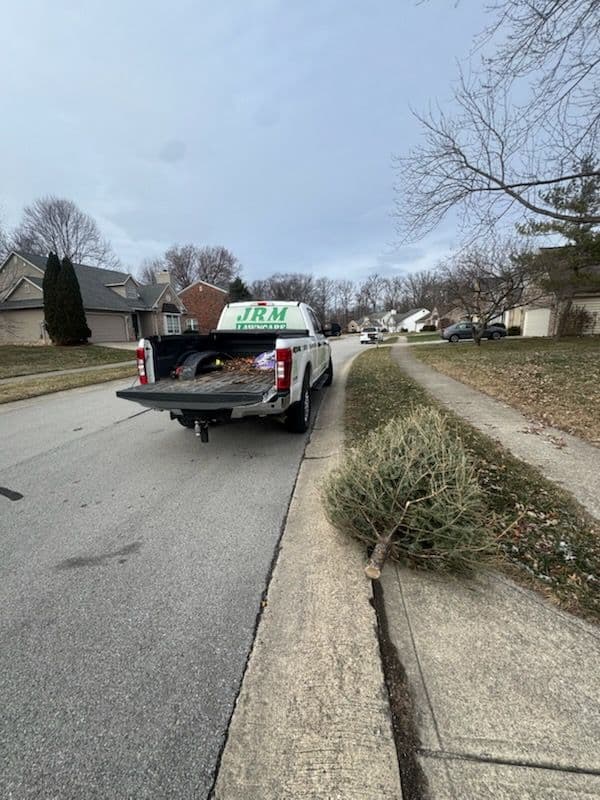 Project Free Christmas Tree Pickup Service Announcement image