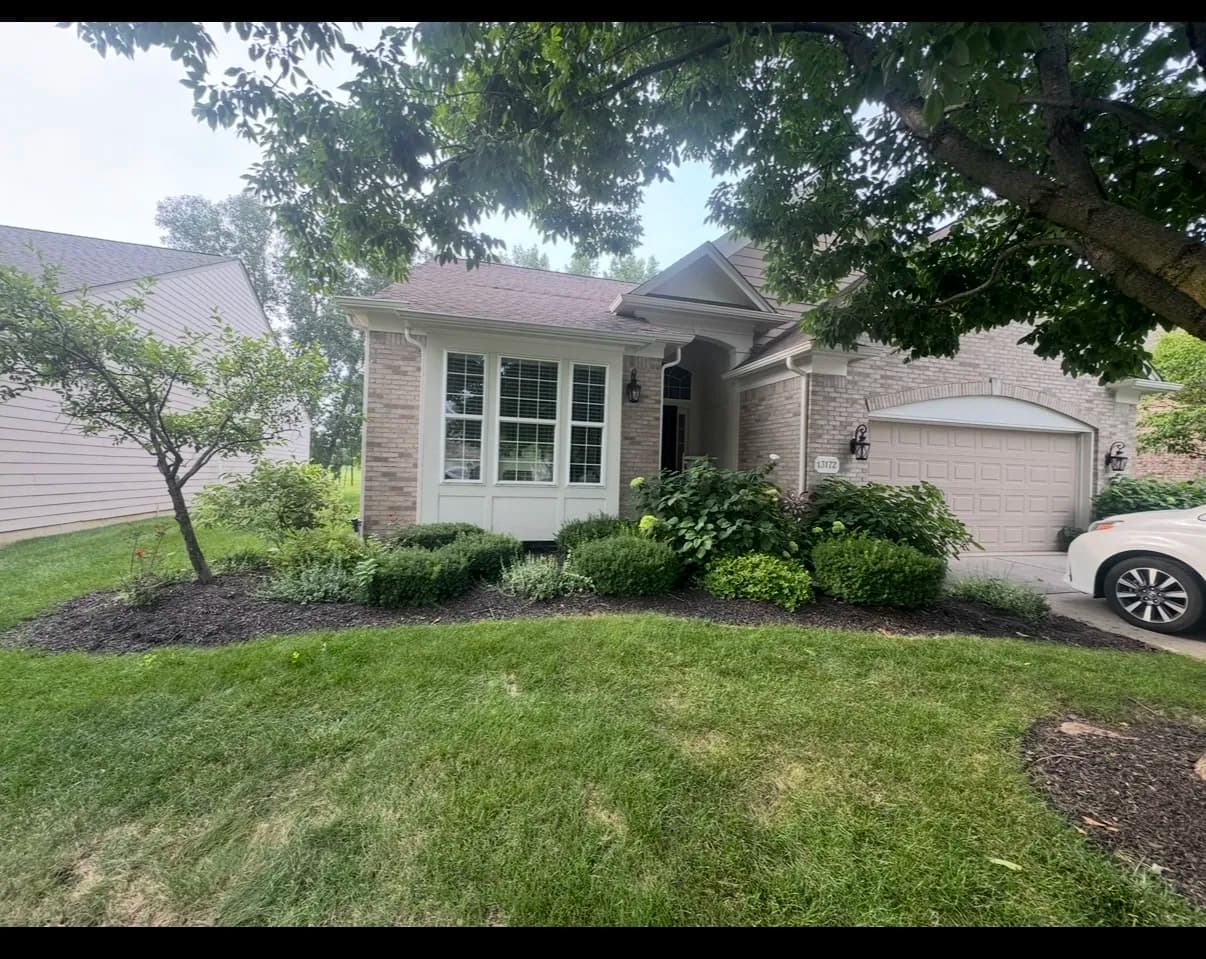 Fresh Landscape Design That Actually Stays Low Maintenance image