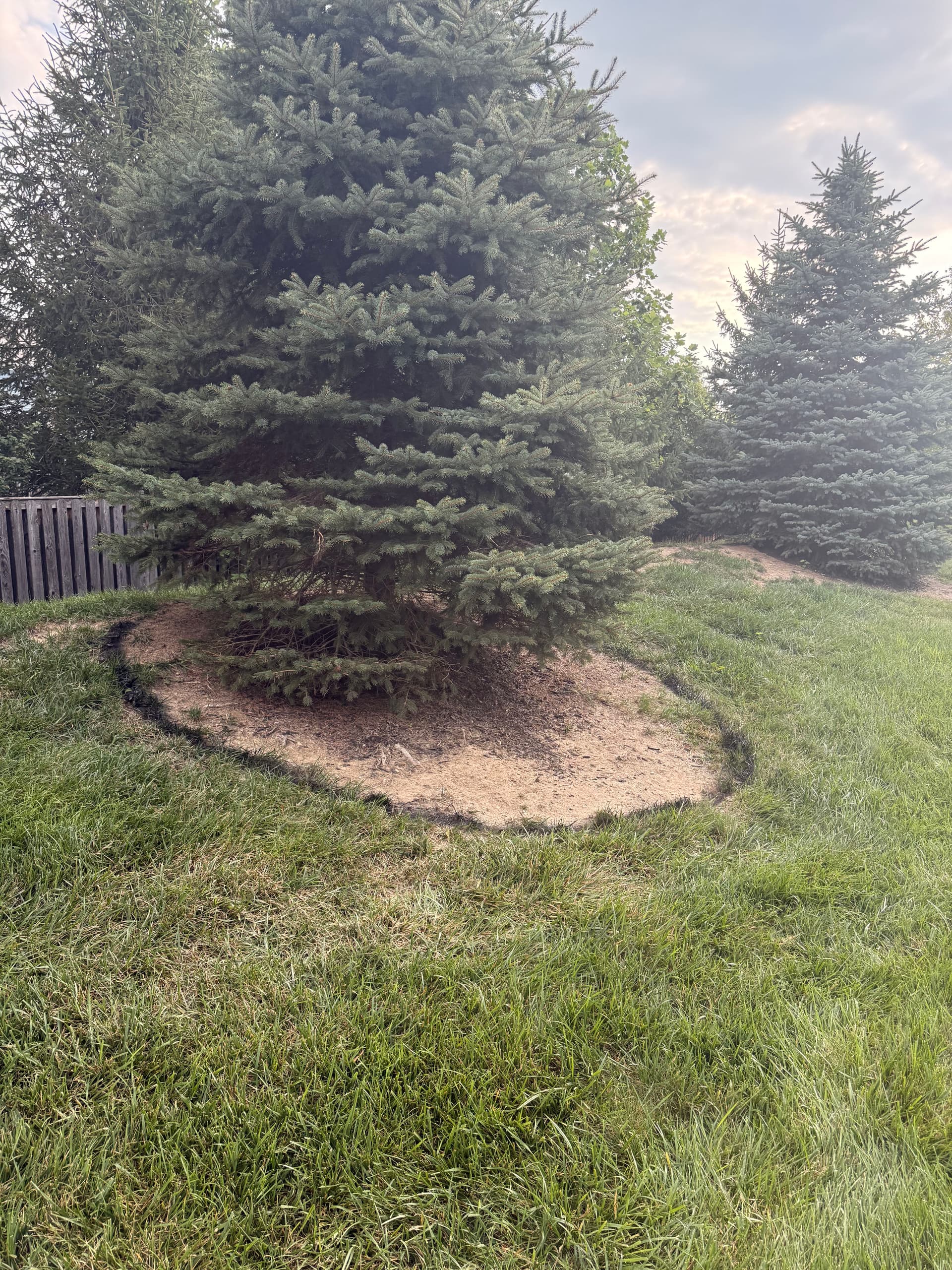Gallery photos for Stone Garden Bed Wall Keeps Mulch Where It Belongs: Image #2