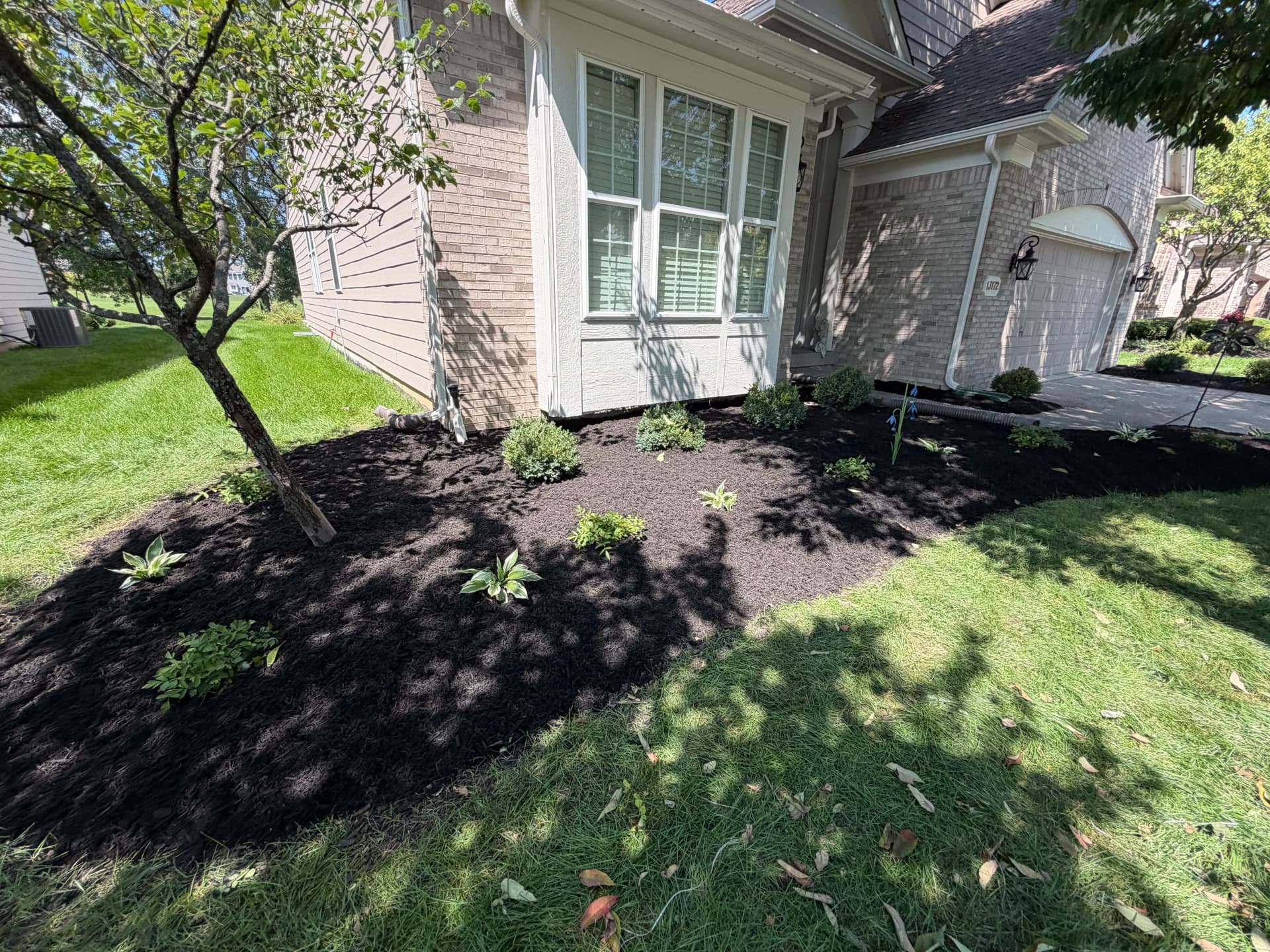 Gallery photos for Fresh Landscape Design That Actually Stays Low Maintenance: Image #2