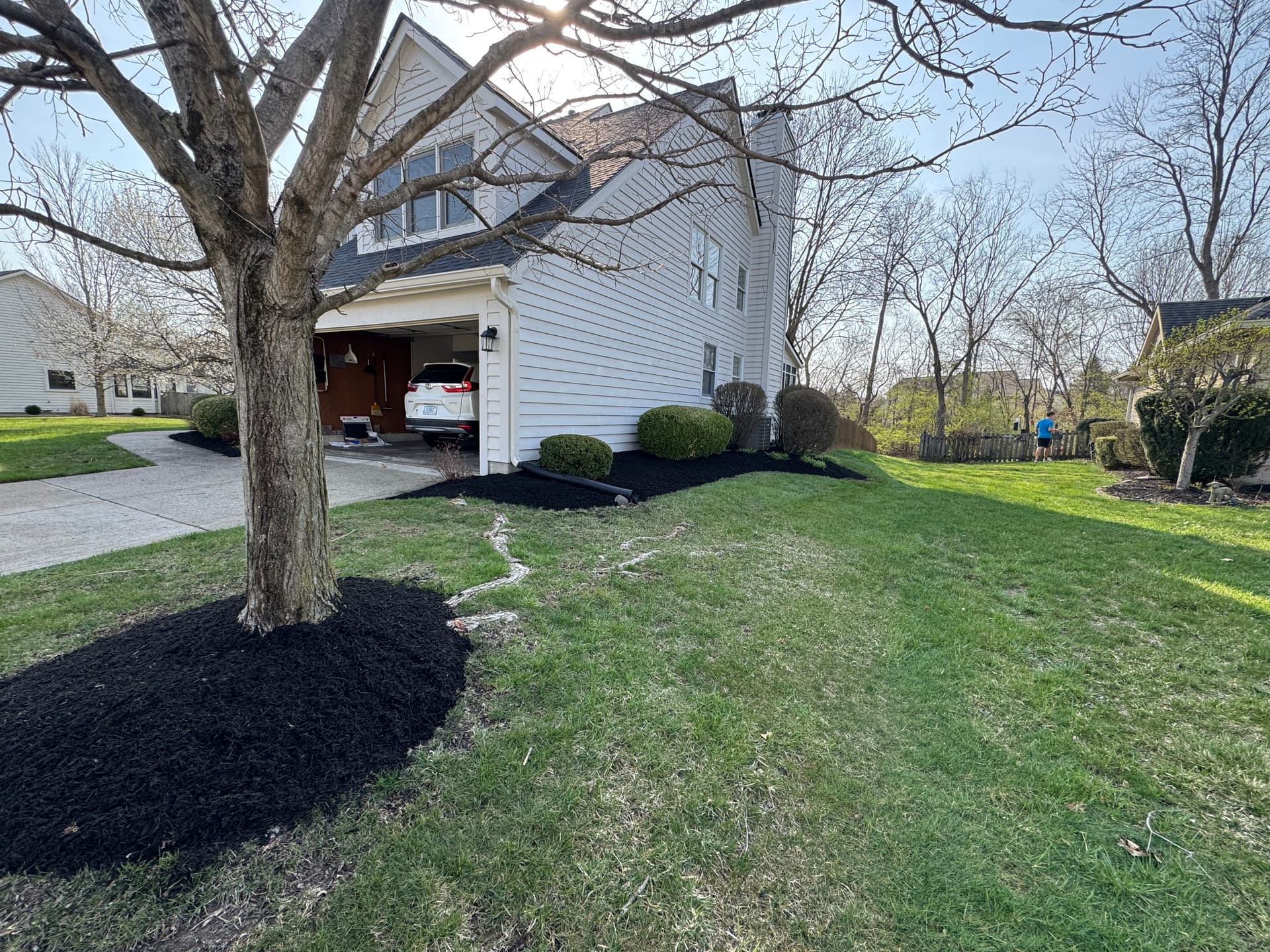 Gallery photos for Lush Lawn Makeover with Premium Black Mulch: Image #1